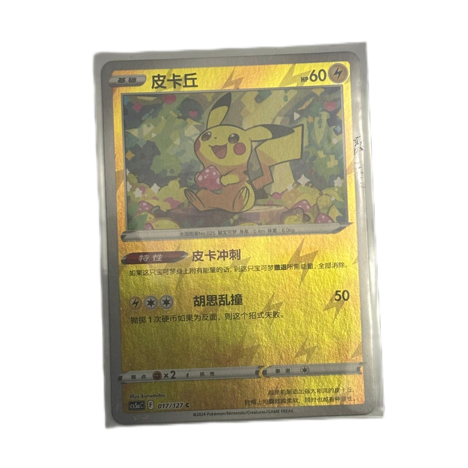 Pokemon Card 2024 S-Chinese Pikachu 017/127C Holo Mint New Treasure Cat Card Pokemon Card 2024 S-Chinese Pikachu 017/127C Holo Mint New Treasure Cat Card