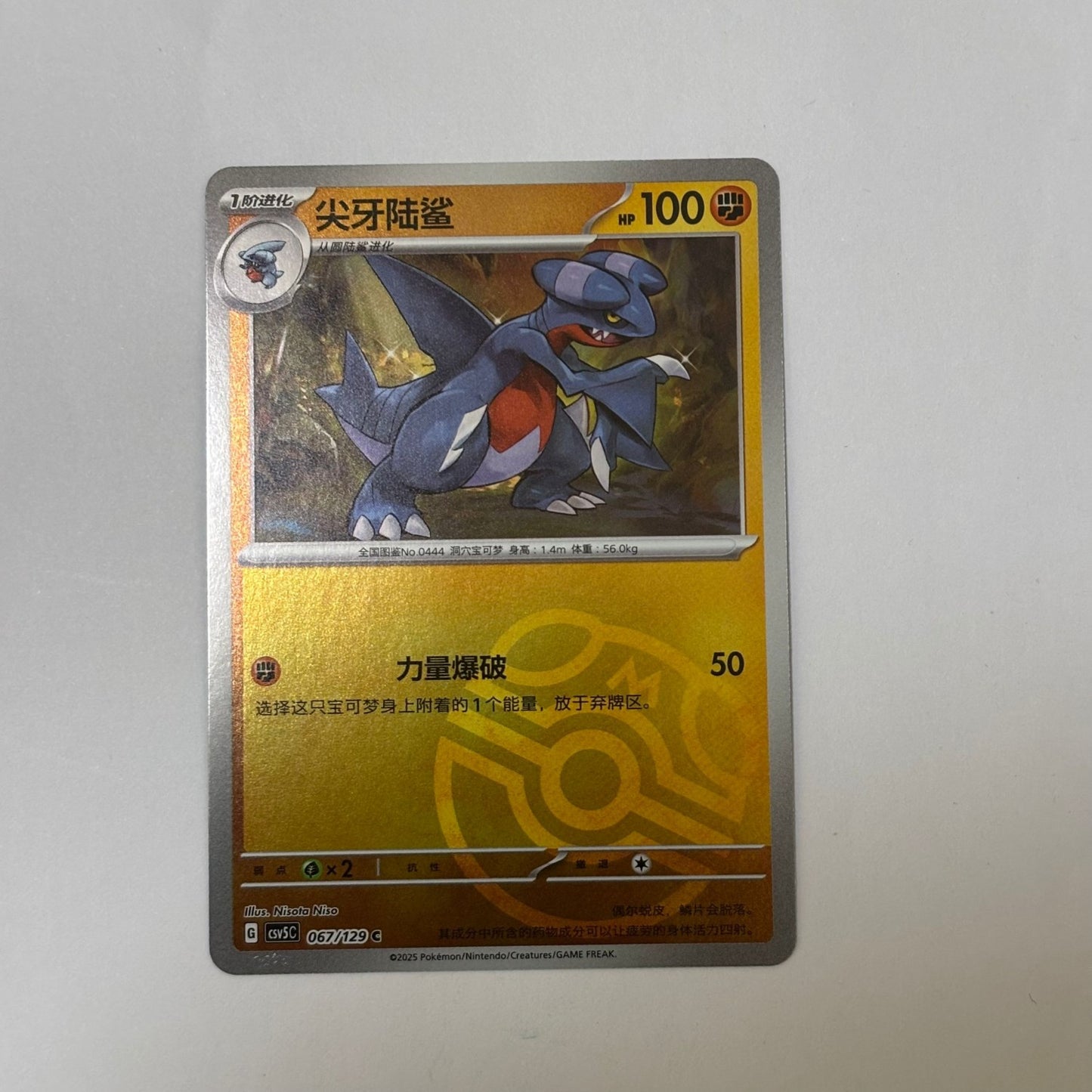 Pokemon Card 2025 S-Chinese Garchomp csv5c 067/129 Master ball Holo MN